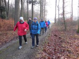 Jahresendwanderung 2015