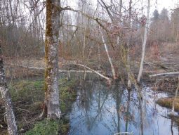 Jahresendwanderung 2015